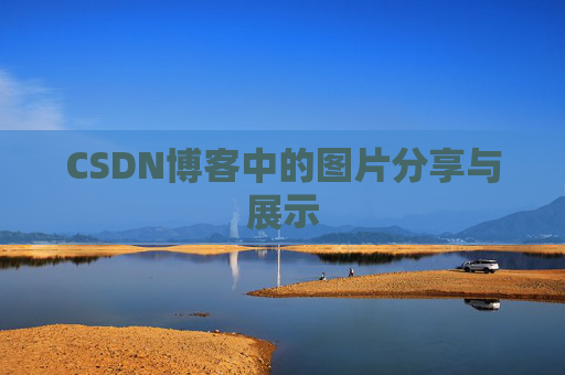 CSDN博客中的图片分享与展示
